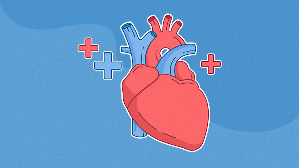 Personal Wellbeing - Healthy Eating and Your Heart Personal Wellbeing - Healthy Eating and Your Heart